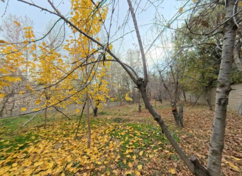 زمین 1000 متری در هرجاب برای فروش کد HJ11-10209302 عکس ۰۴ - روما۲۴ - Roma24